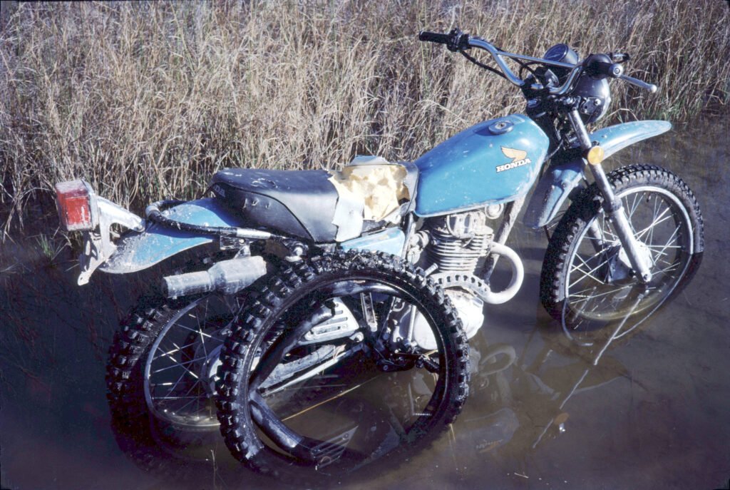 okavango_predation 6 CurtBusse Okavango187