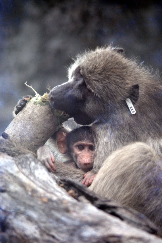 CurtBusse Okavango0006