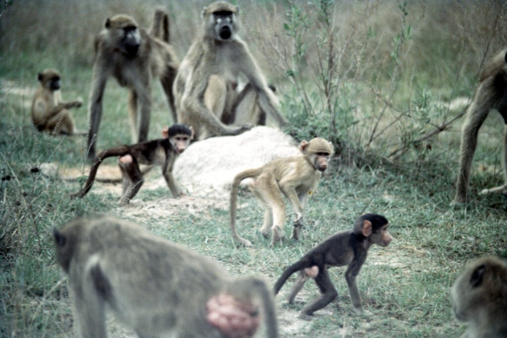 CurtBusse Okavango0014