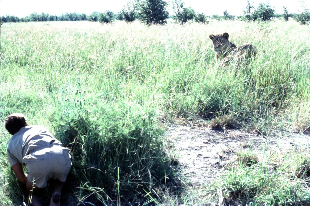 CurtBusse Okavango0026