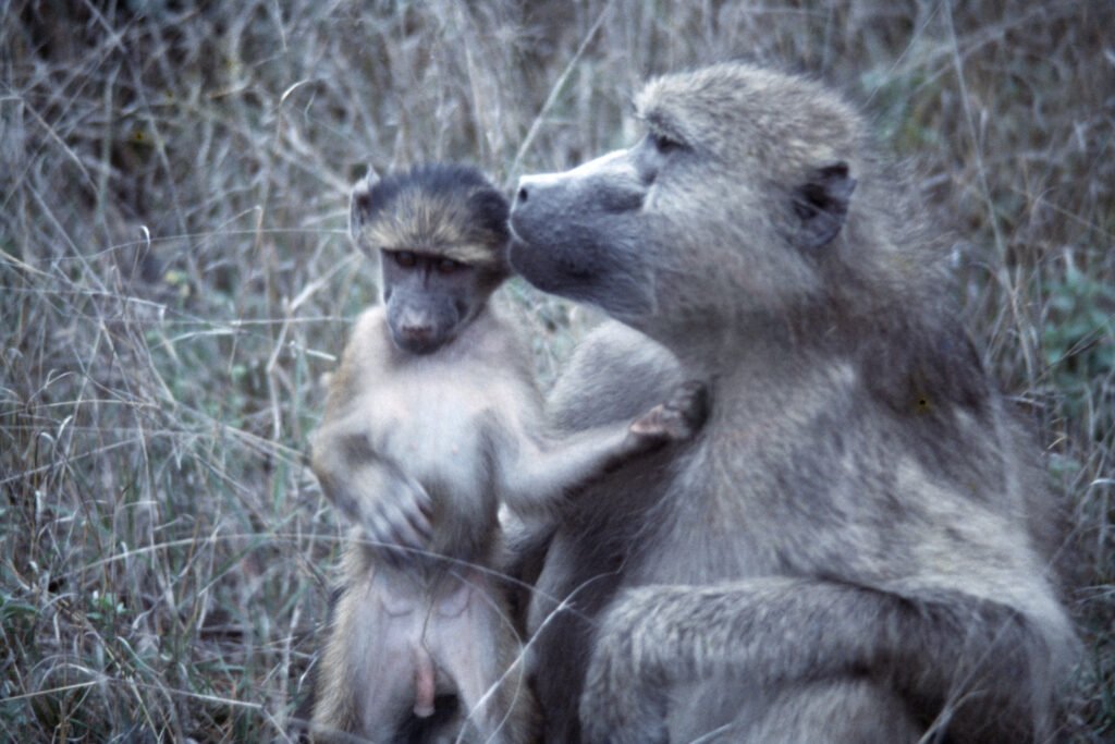 CurtBusse Okavango0172