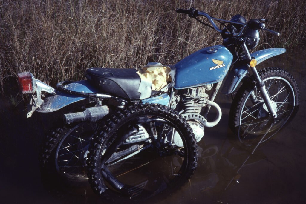 CurtBusse Okavango0187