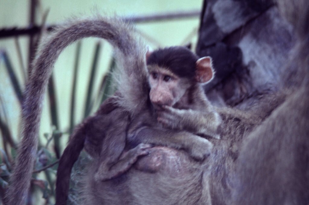 CurtBusse Okavango0191
