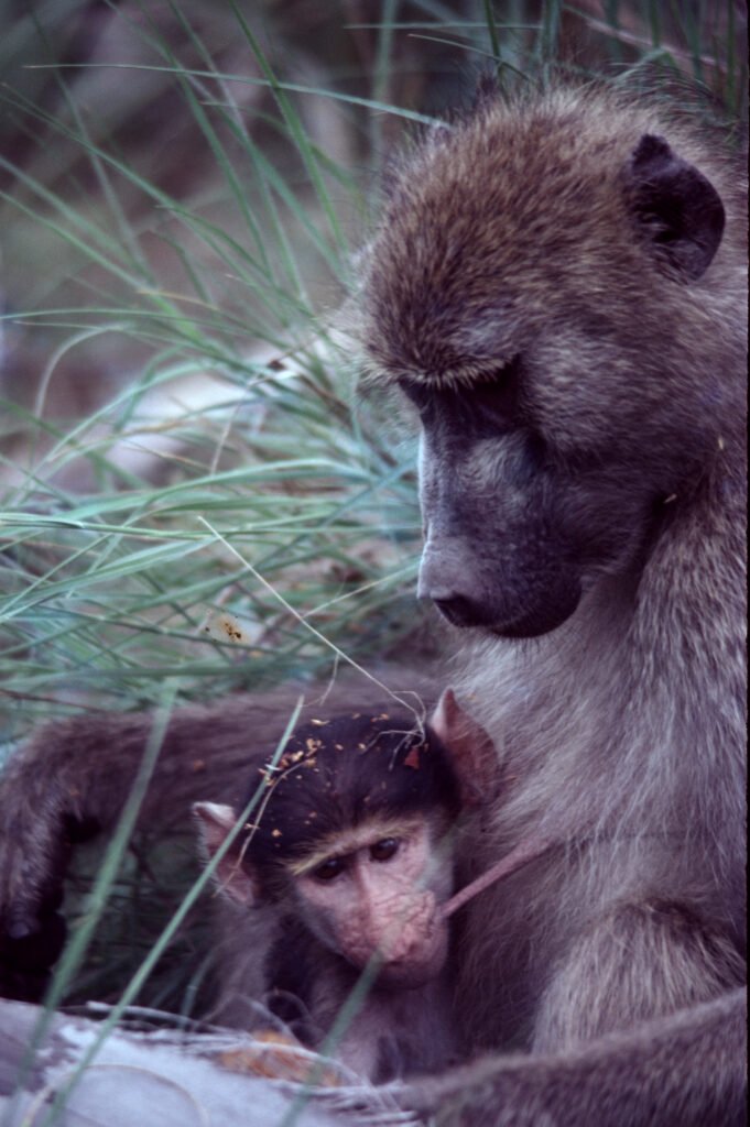 CurtBusse Okavango0247