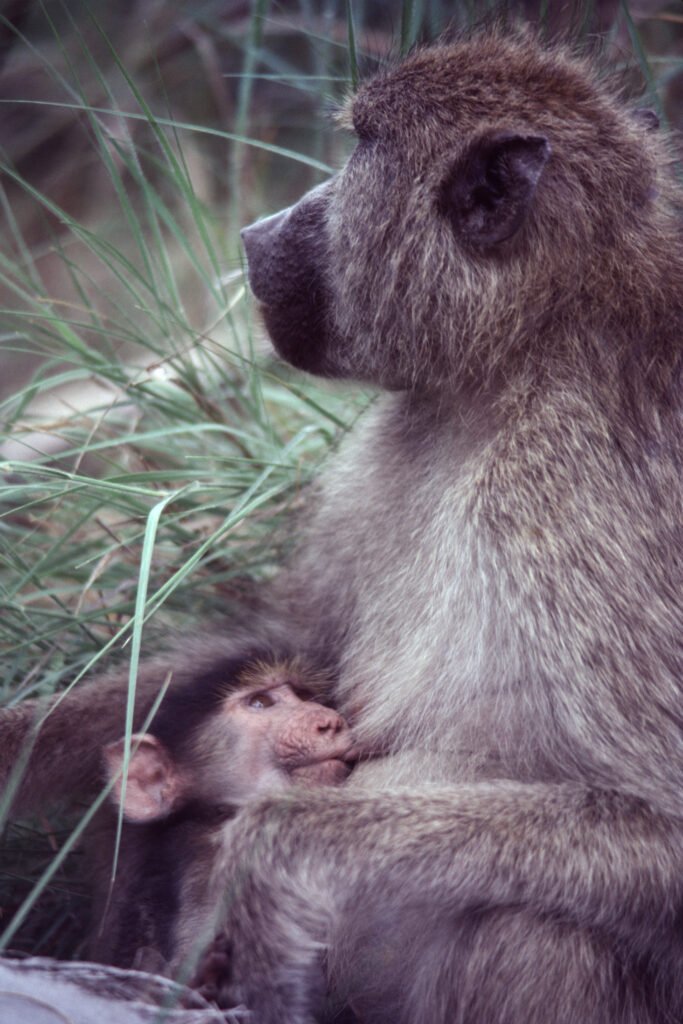 CurtBusse Okavango0268