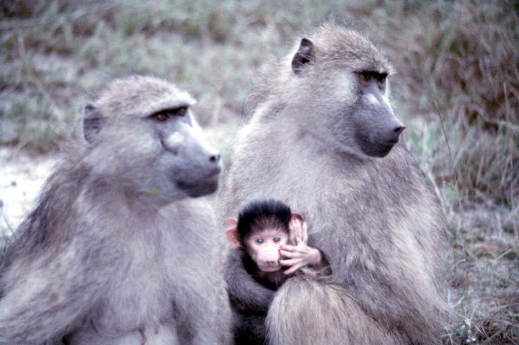 CurtBusse Okavango0282