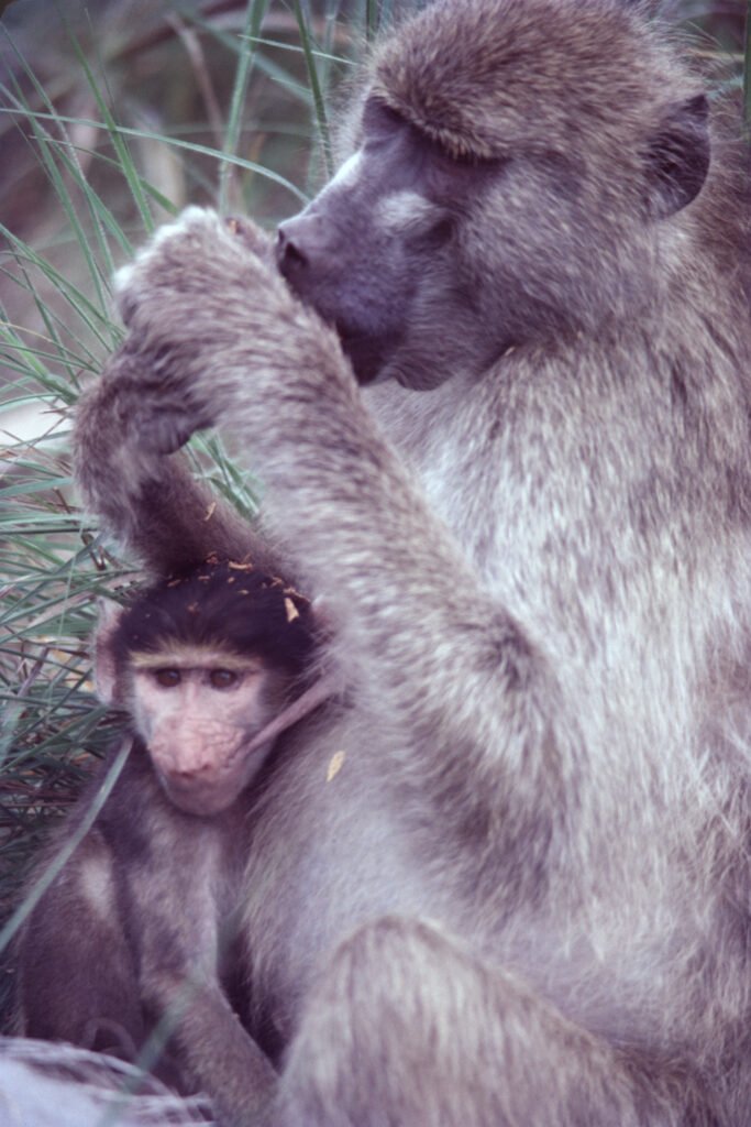 CurtBusse Okavango0290