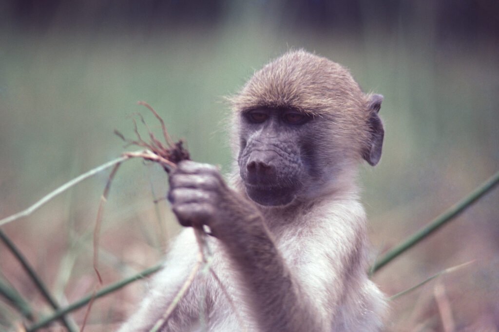 CurtBusse Okavango0002
