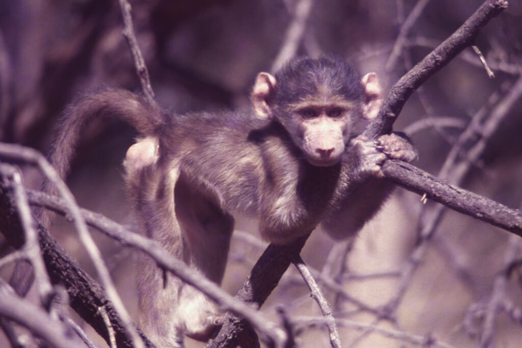 CurtBusse Okavango0016
