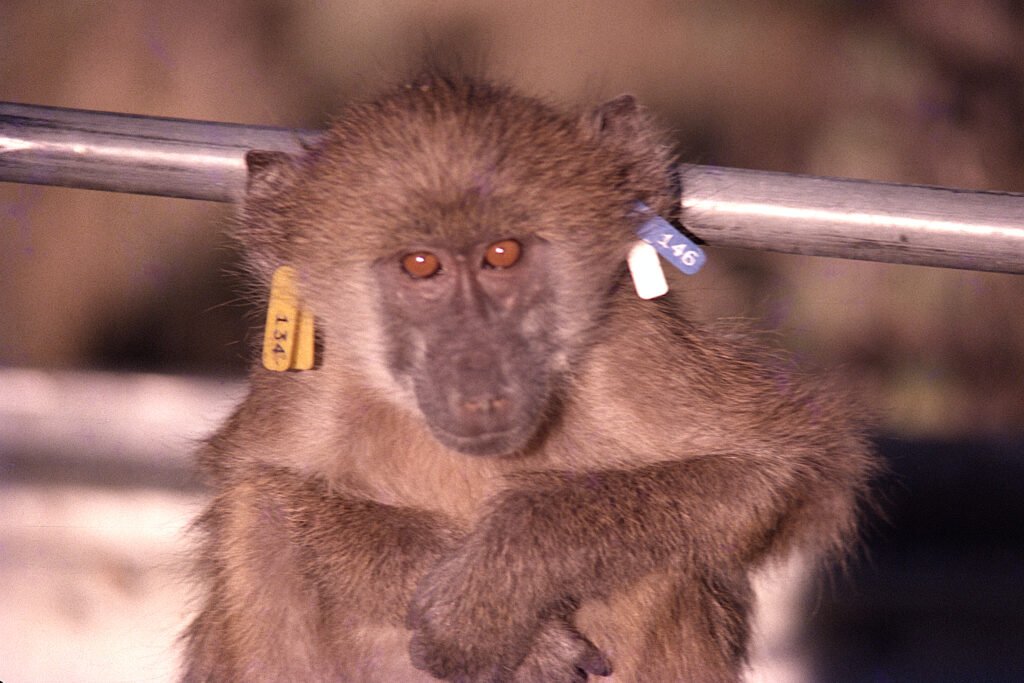 CurtBusse Okavango0060