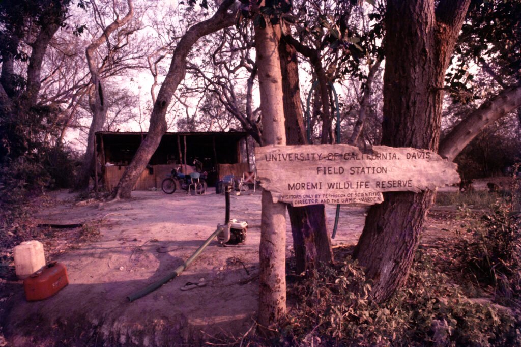 Photos Baboon Camp 9 CurtBusse Okavango0062