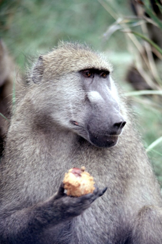 CurtBusse Okavango0077