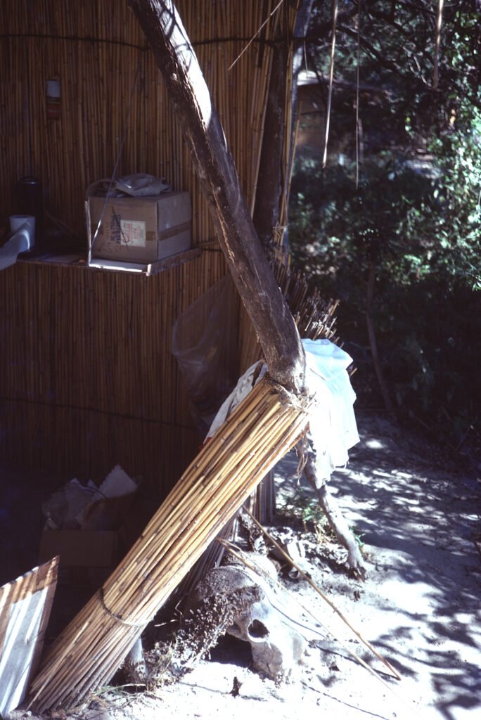 Photos Baboon Camp 17 CurtBusse Okavango0101