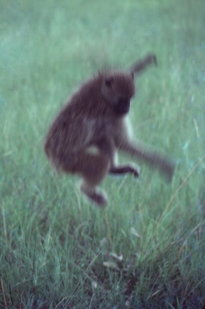 CurtBusse Okavango0104