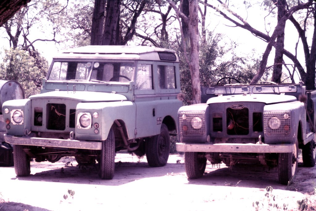 Photos Baboon Camp 33 CurtBusse Okavango0105