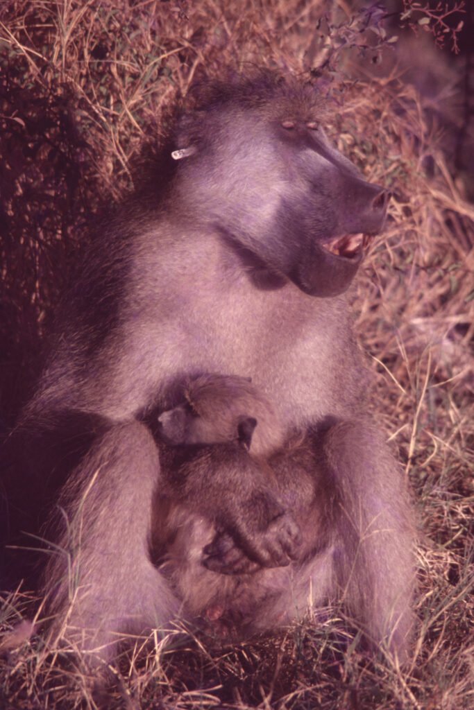 CurtBusse Okavango0106