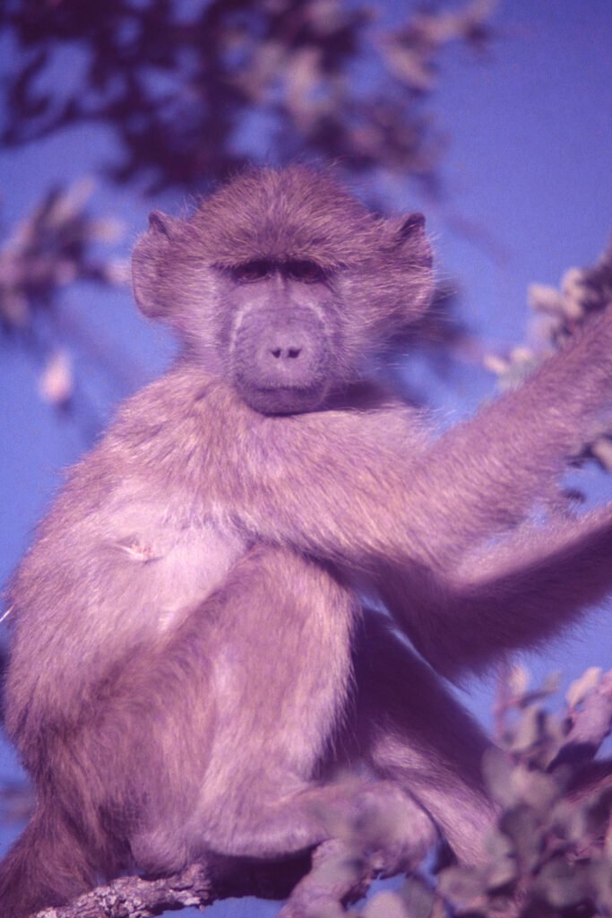 CurtBusse Okavango0108