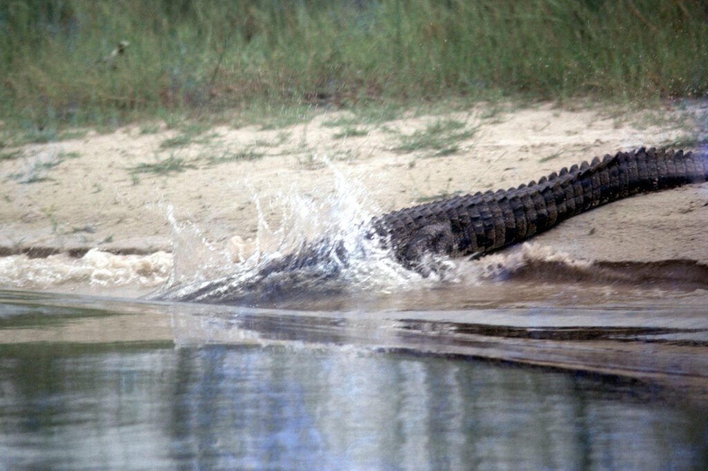 CurtBusse Okavango0116