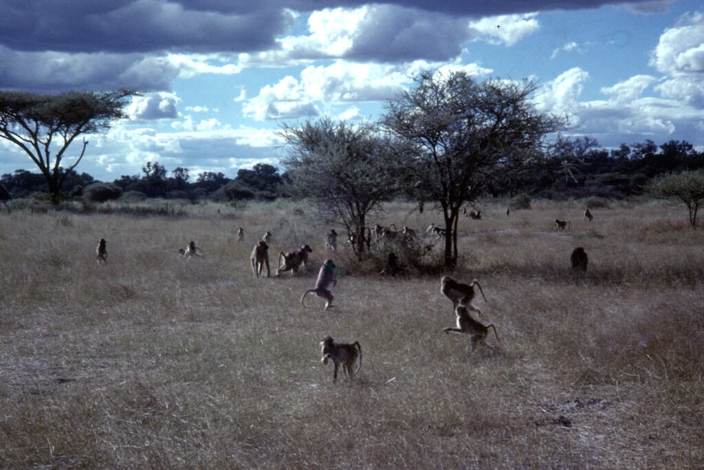 CurtBusse Okavango0119