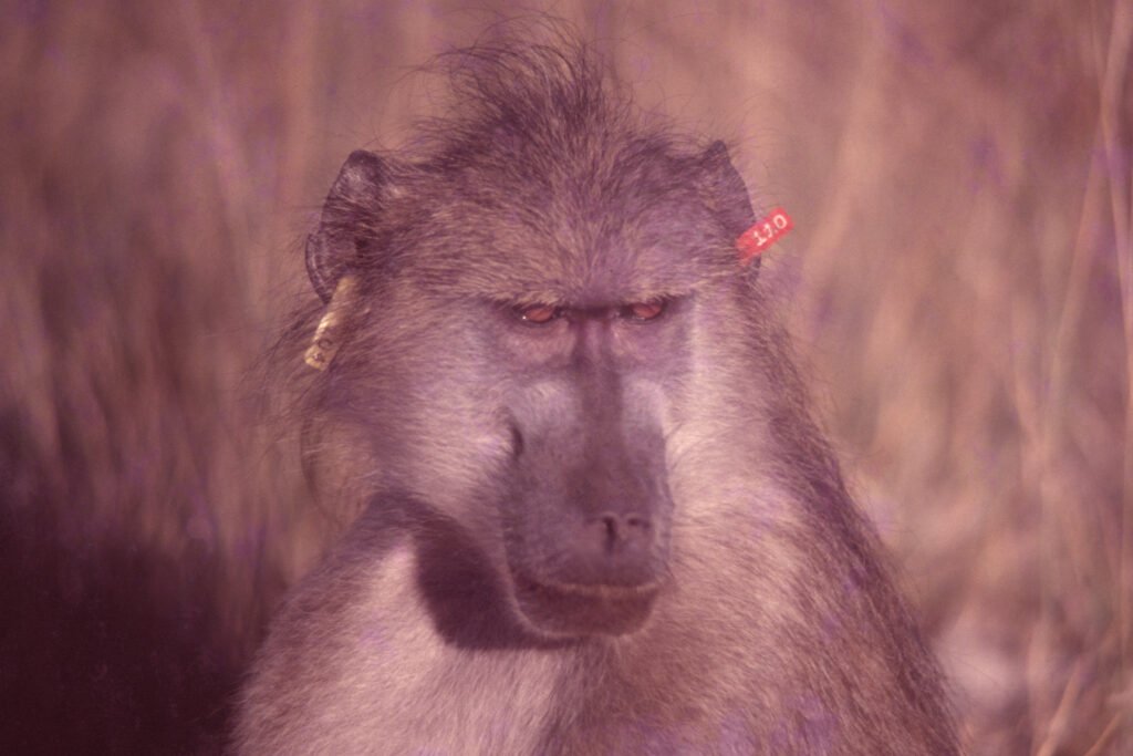 CurtBusse Okavango0125