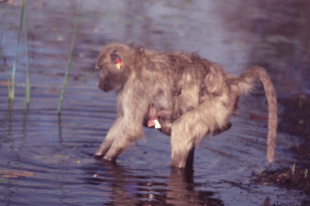 CurtBusse Okavango0130b