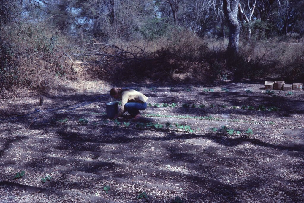 Photos Baboon Camp 21 CurtBusse Okavango0133