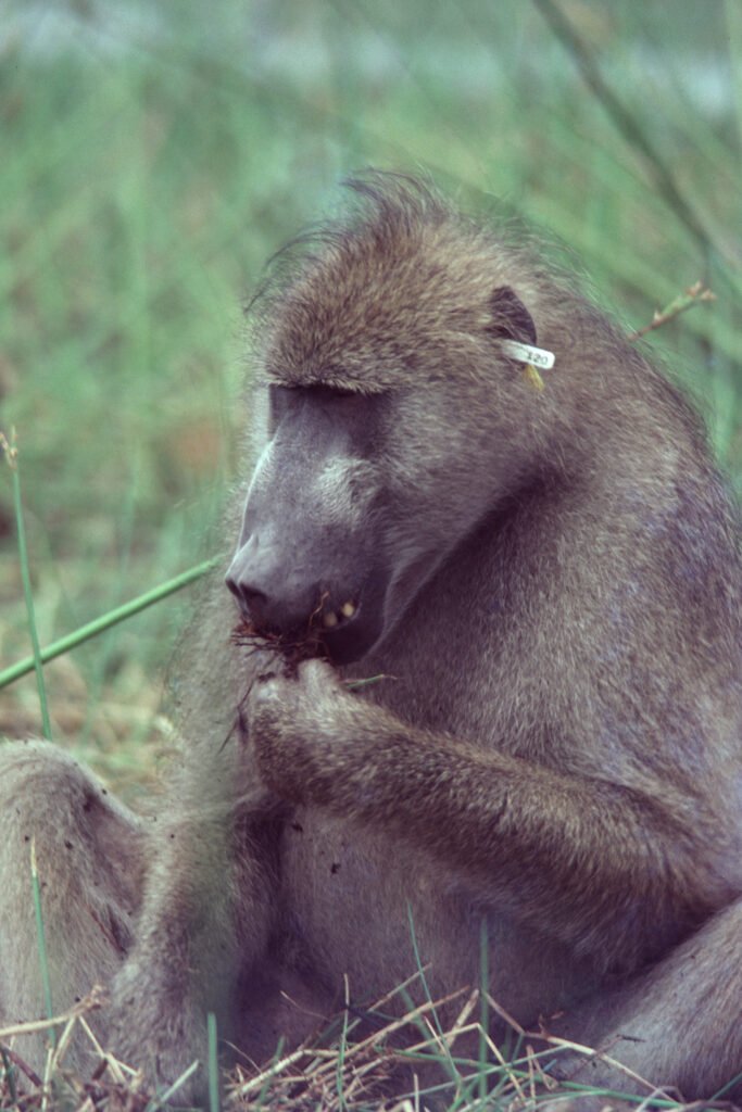 CurtBusse Okavango0140