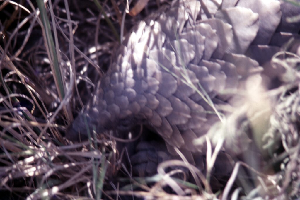 CurtBusse Okavango0150