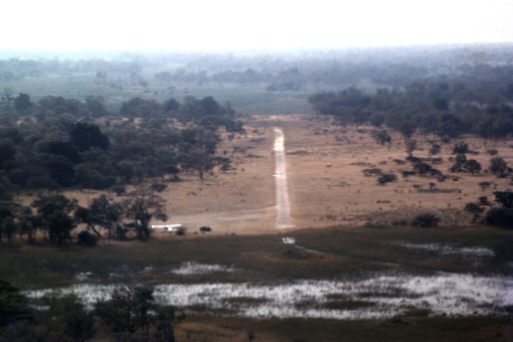 Photos Baboon Camp 27 CurtBusse Okavango0153