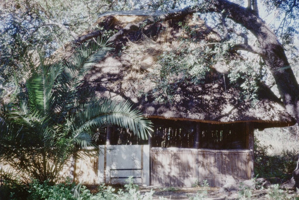 Photos Baboon Camp 5 CurtBusse Okavango0157