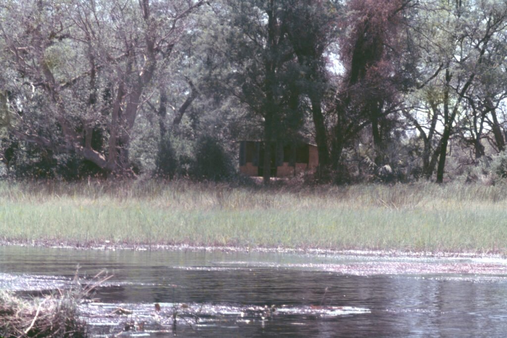 Photos Baboon Camp 19 CurtBusse Okavango0170