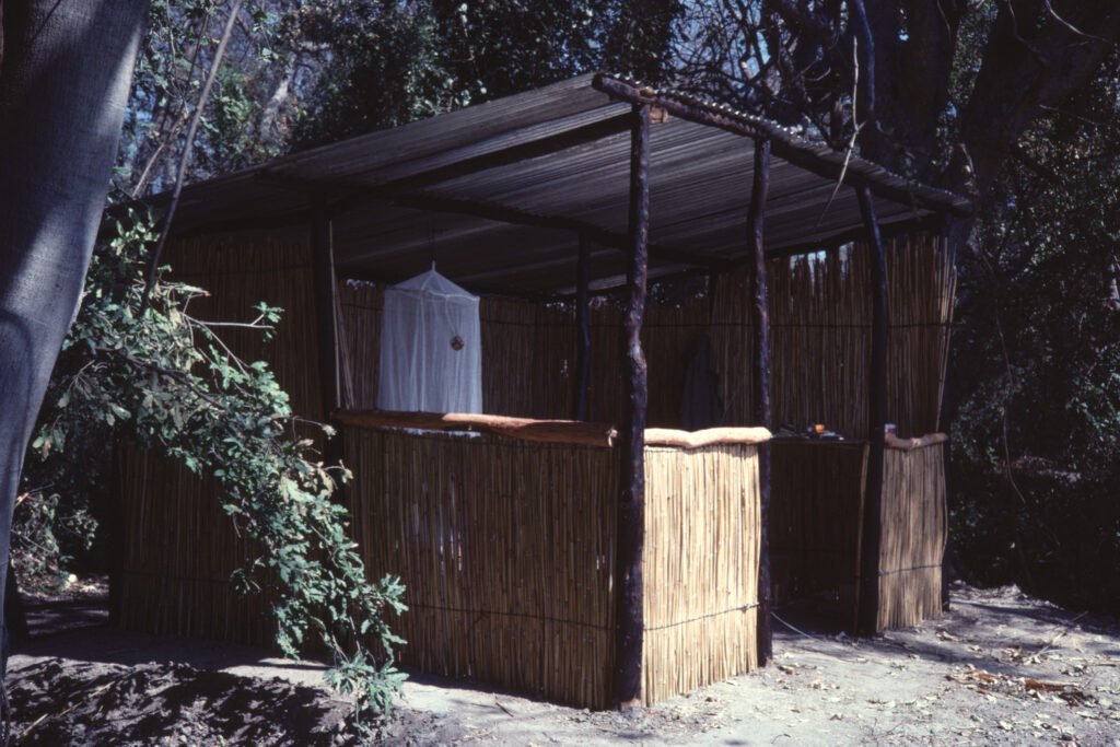 Photos Baboon Camp 13 CurtBusse Okavango0197