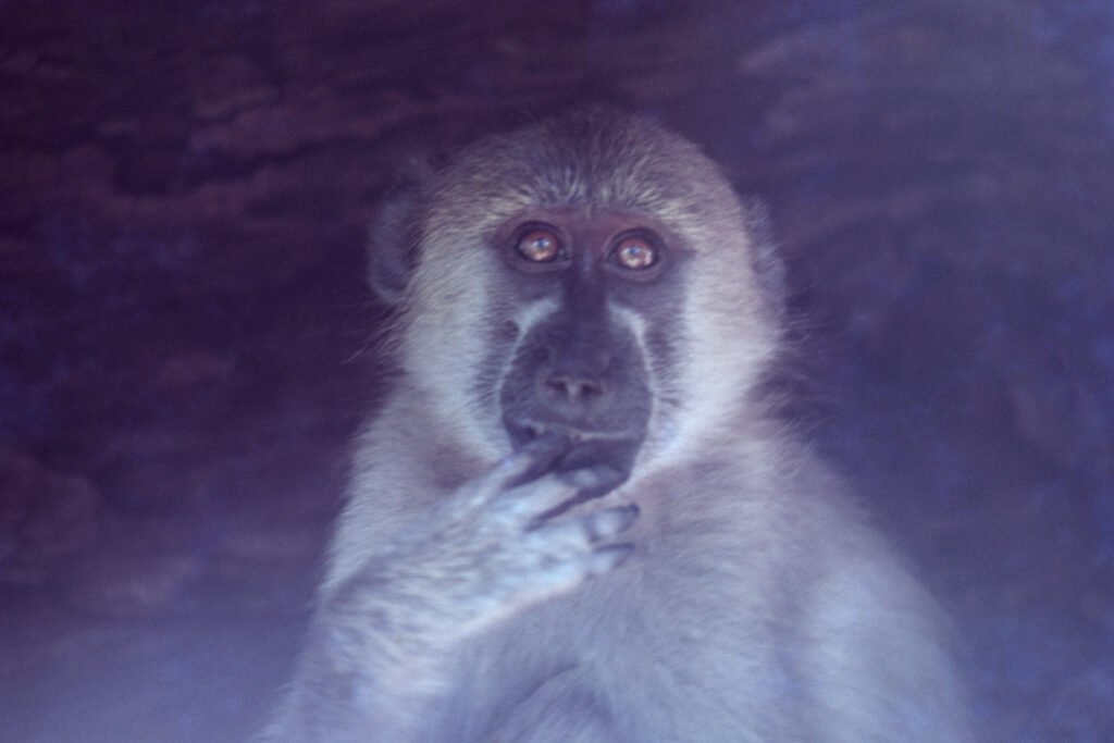 CurtBusse Okavango0198