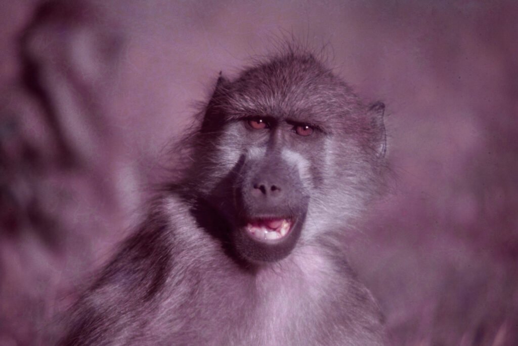 CurtBusse Okavango0201