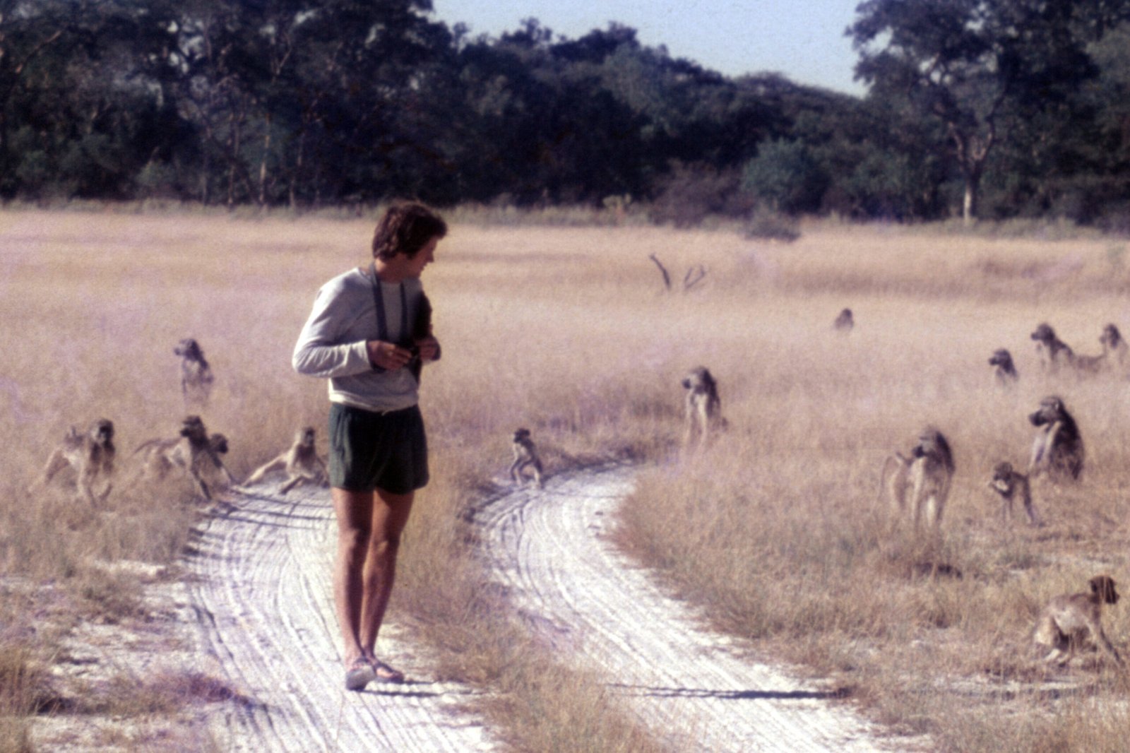CurtBusse Okavango0202 crop edited scaled