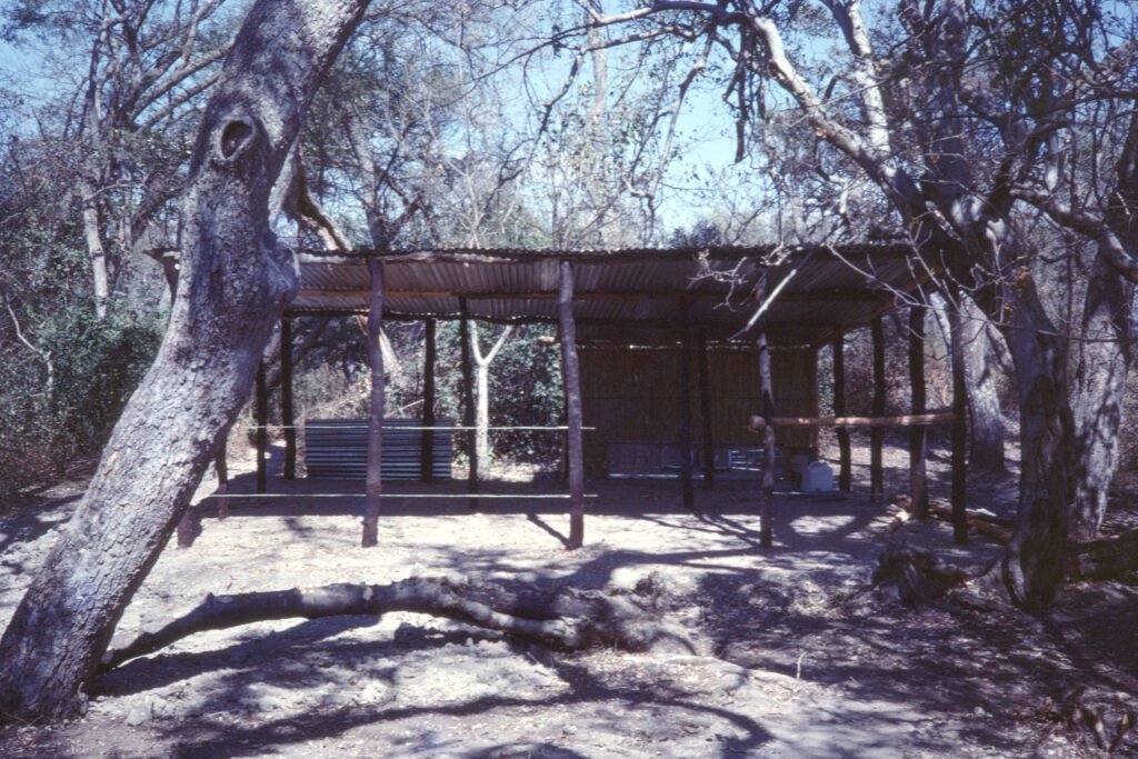 Photos Baboon Camp 7 CurtBusse Okavango0206