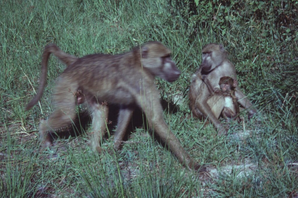 CurtBusse Okavango0207