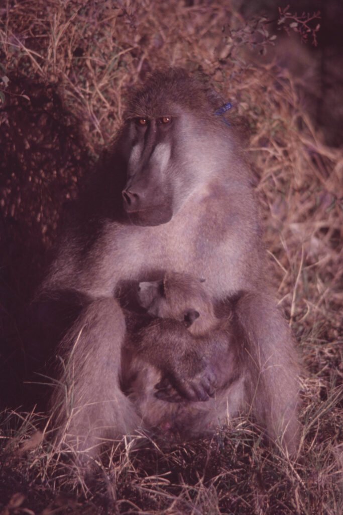 CurtBusse Okavango0226