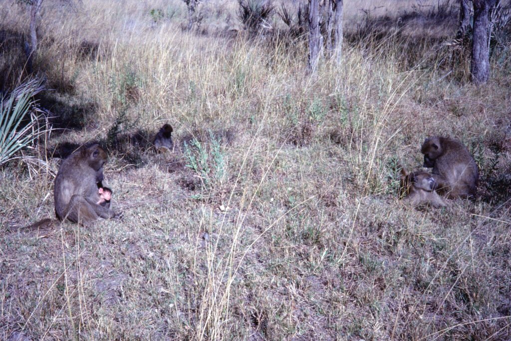 CurtBusse Okavango0230