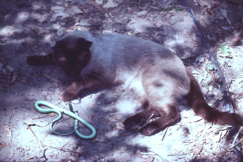 CurtBusse Okavango0231