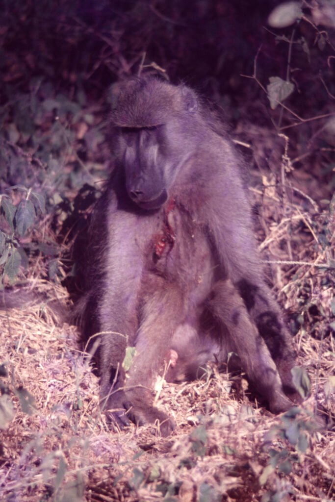 CurtBusse Okavango0236