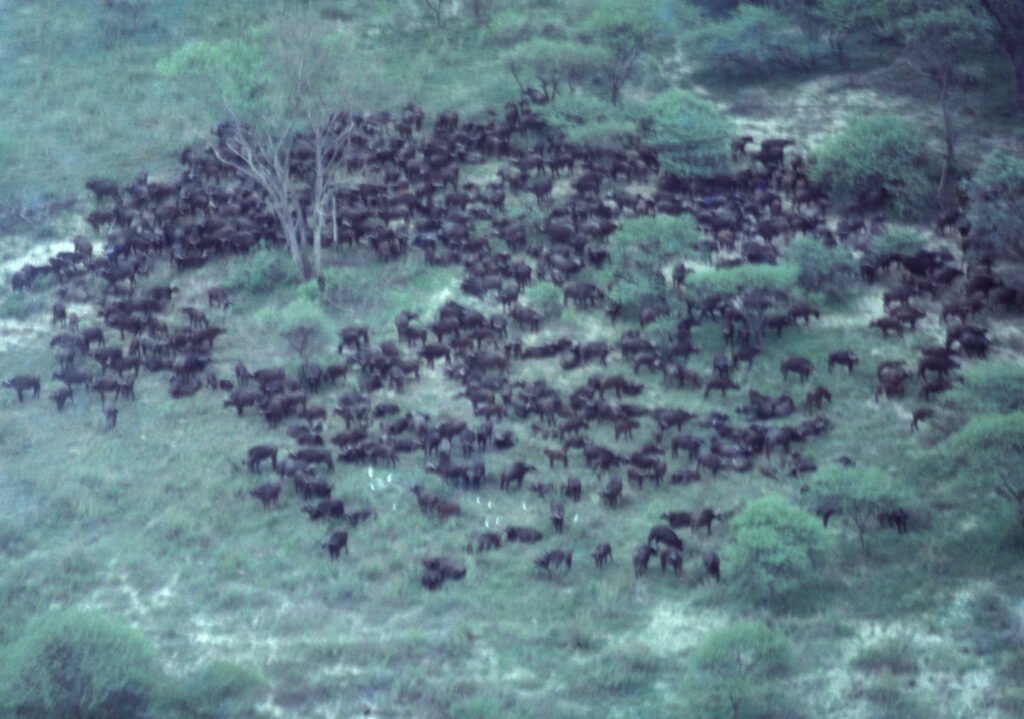 CurtBusse Okavango0246