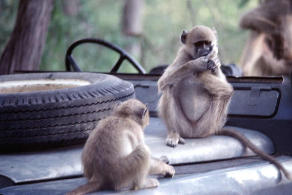CurtBusse Okavango0257