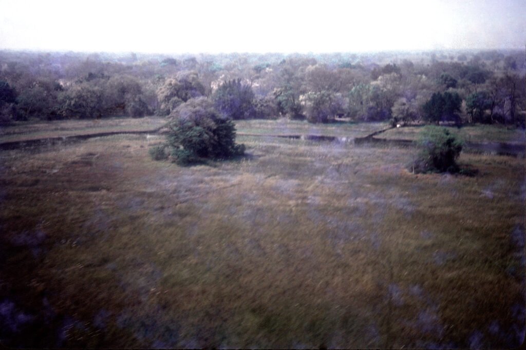 Photos Baboon Camp 1 CurtBusse Okavango0262