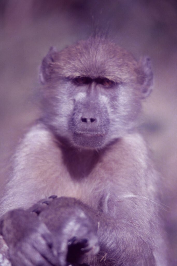 CurtBusse Okavango0300