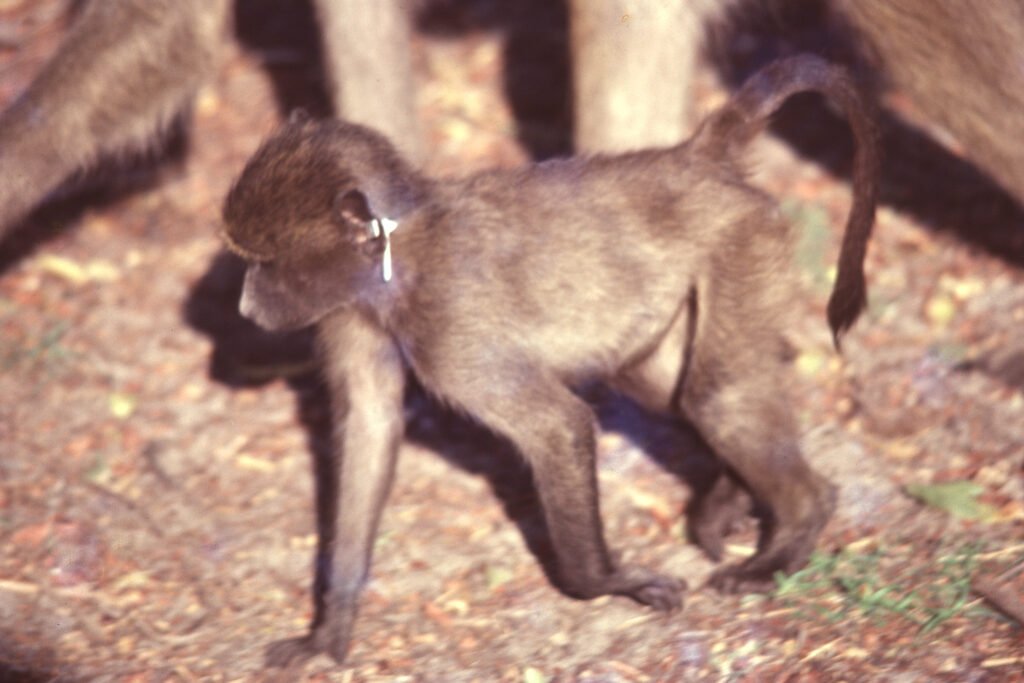 CurtBusse Okavango0531