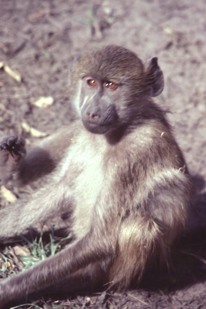 CurtBusse Okavango0537