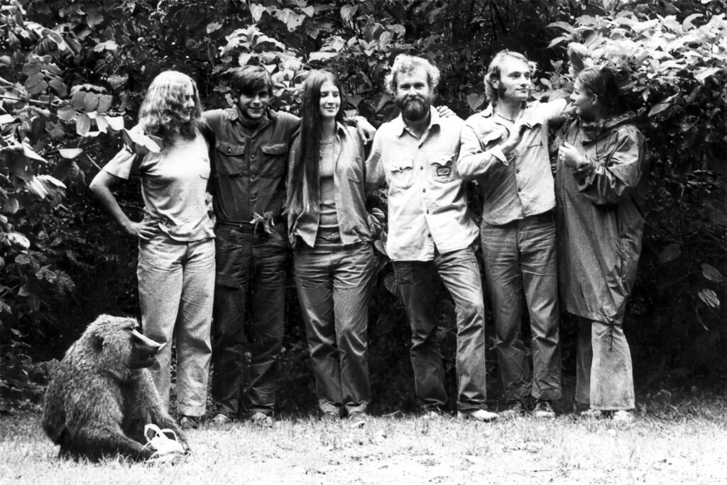 BaboonResearchers1974