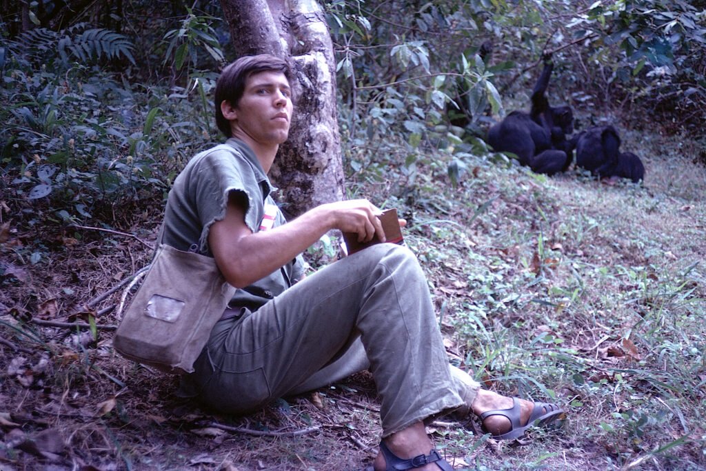 David Riss tracking wild chimpanzees.