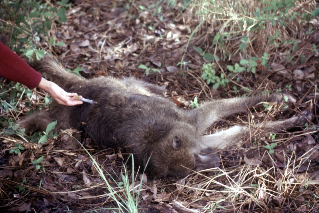 CurtBusse Okavango0266